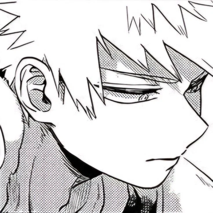 ✮ KATSUKI BAKUGOU ✮