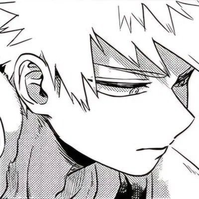 ✮ KATSUKI BAKUGOU ✮