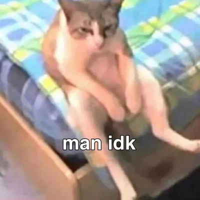 Bot Requests (Open)