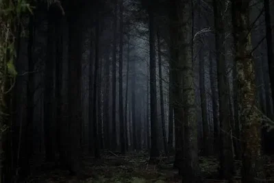 connection of souls