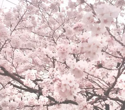 Miss_Mew93