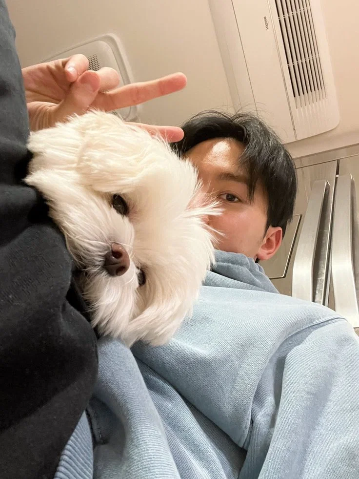 boo seungkwan