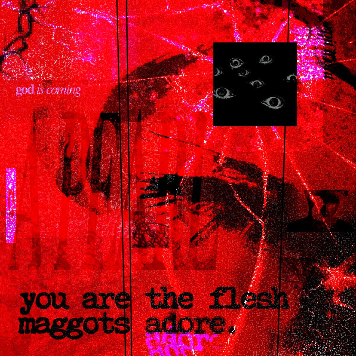 Vivisection Experience Generator
