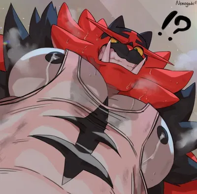 Incineroar -Remake-