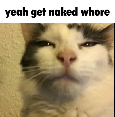 yeah idk 