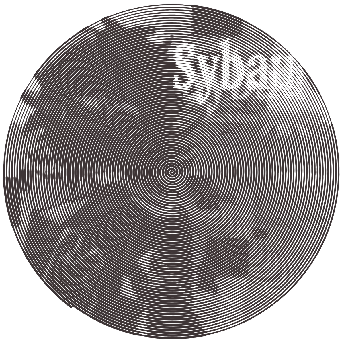 Null | The Broken Scrip | Stalker
