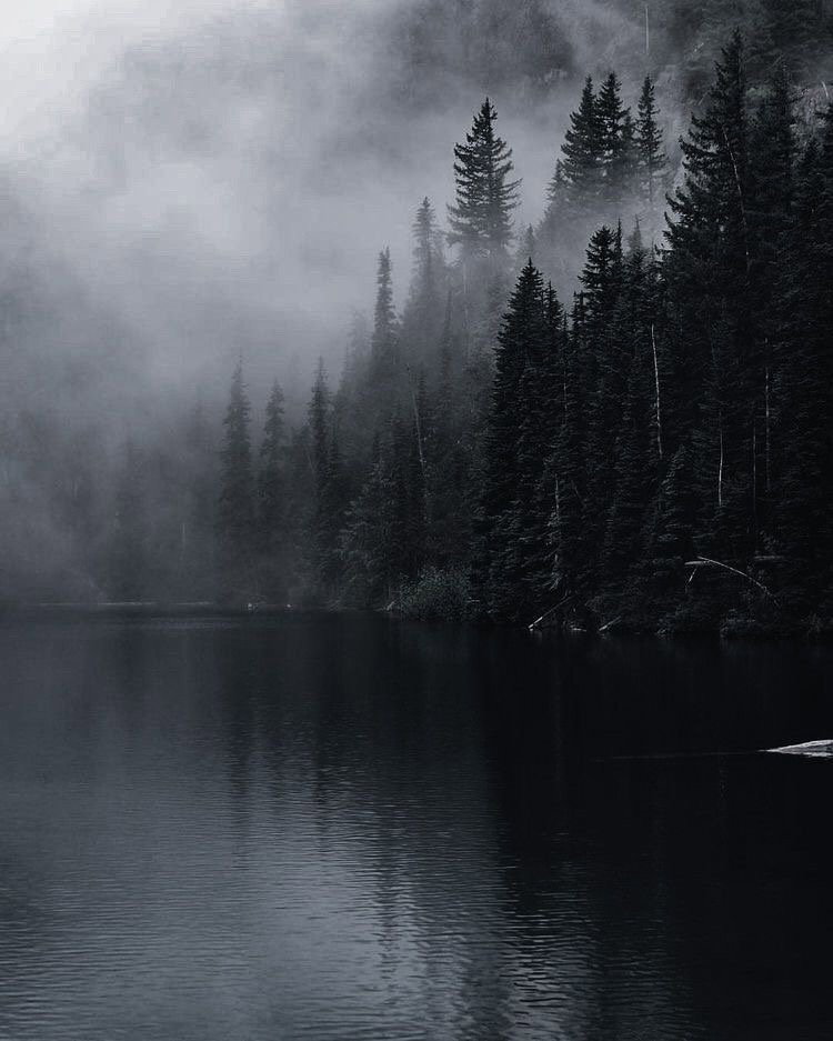 Haunted Forest RPG