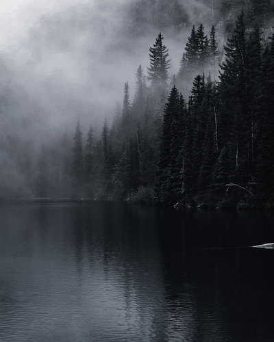 Haunted Forest RPG