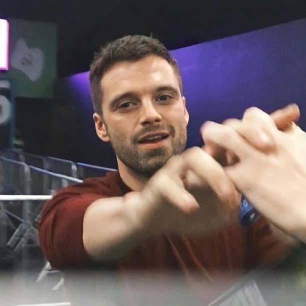 Sebastian Stan 