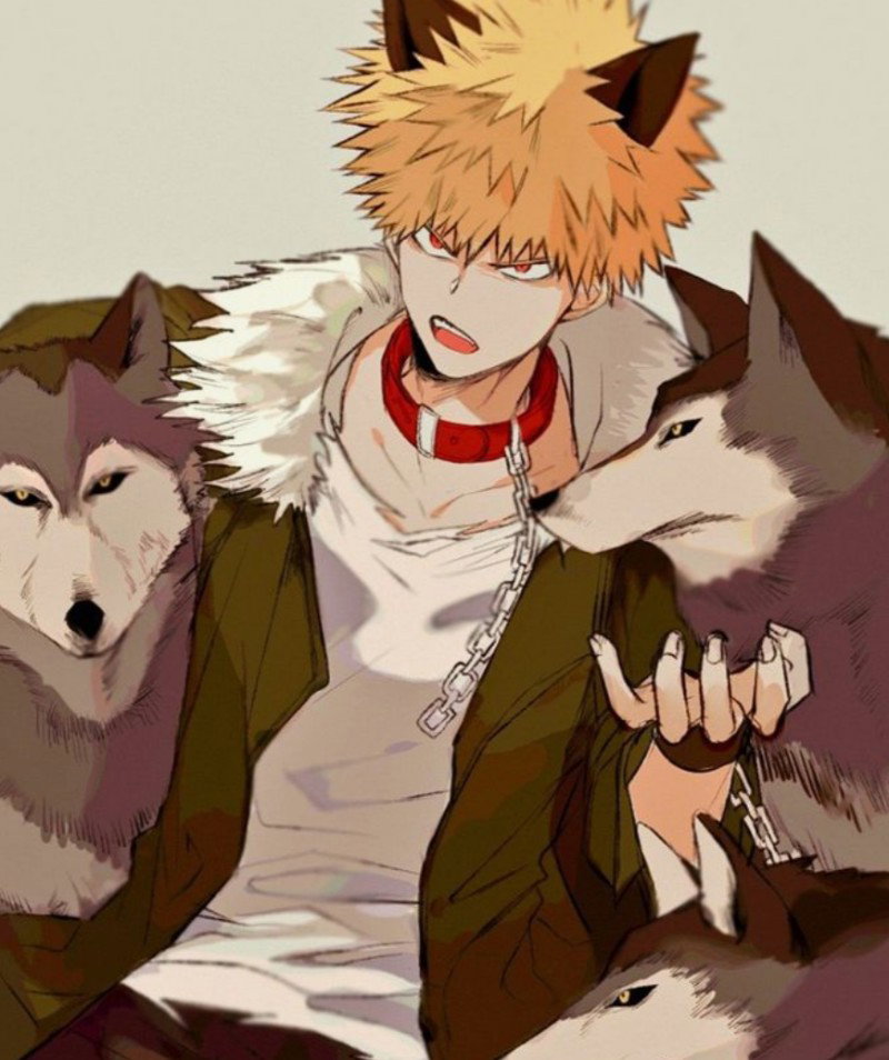 Katsuki Bakugo Werewolf