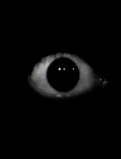 The Thing In The Corner