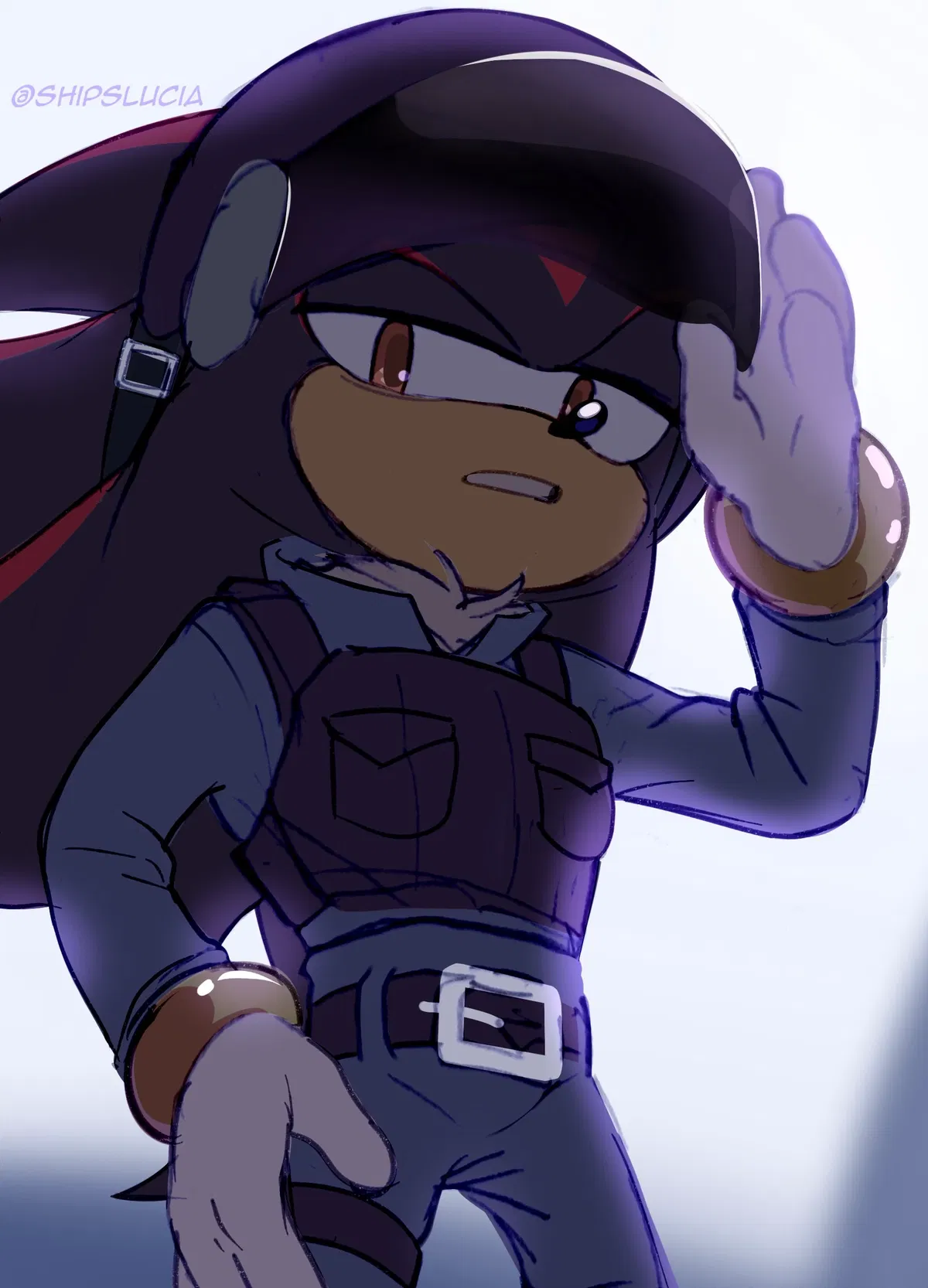 {Cop!} Shadow The Hedgehog