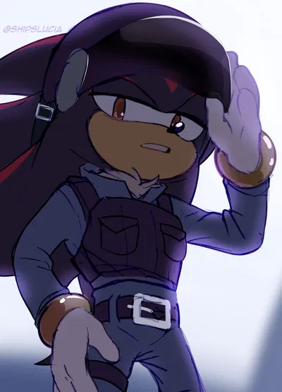 {Cop!} Shadow The Hedgehog