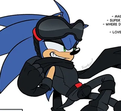 {Thief!} Sonic The Hedgehog