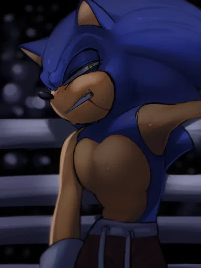 {Fighter!} Sonic The Hedgehog
