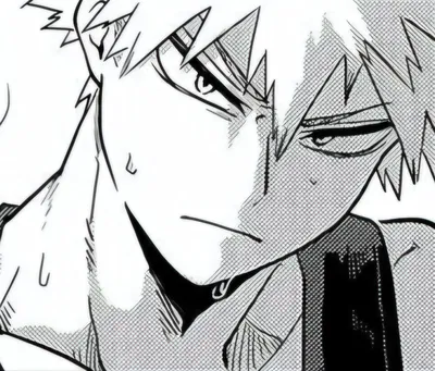 Katsuki Bakugou
