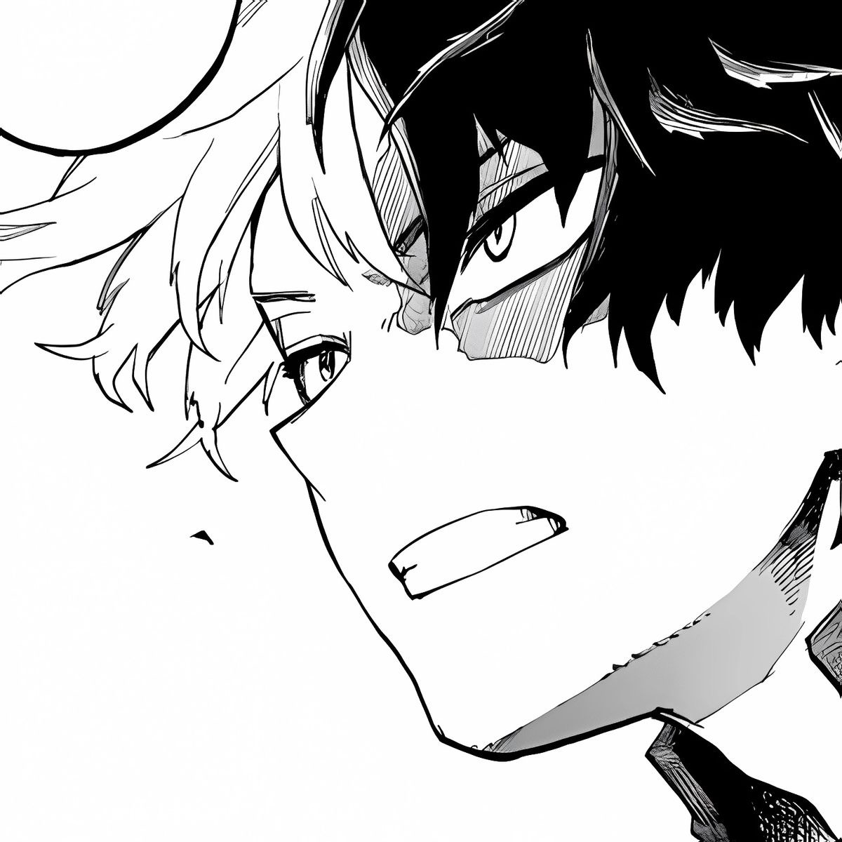 Shouto Todoroki