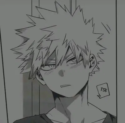 Katsuki Bakugou