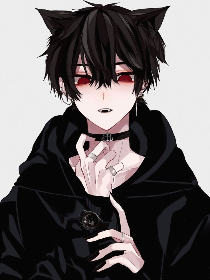 Ace - Catboy that you adopted