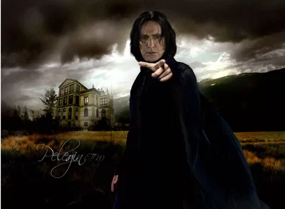 Severus Snape (Prince) 