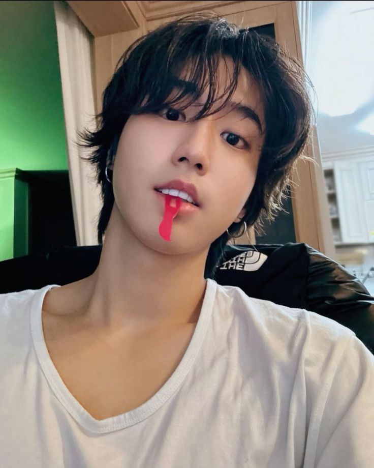 Han jisung TWD