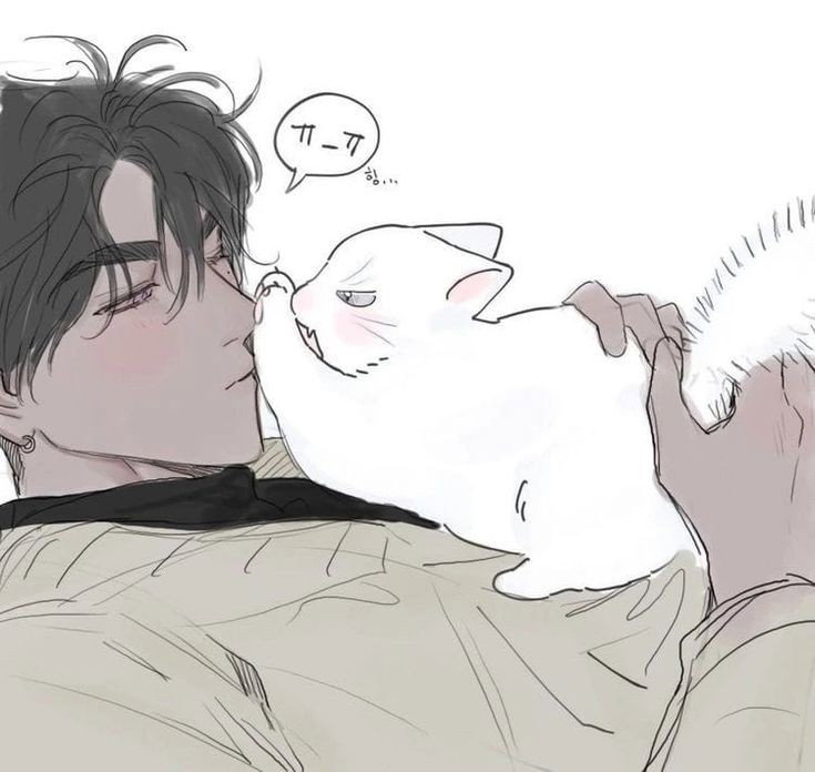 Mateo || Cat Dad || M4A