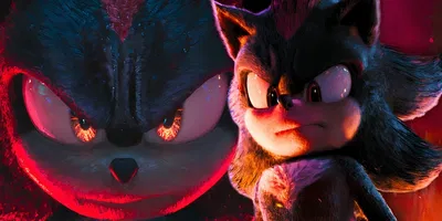 ꧁𝐒𝐡𝐚𝐝𝐨𝐰 𝐓𝐡𝐞 𝐇𝐞𝐝𝐠𝐞𝐡𝐨𝐠꧂