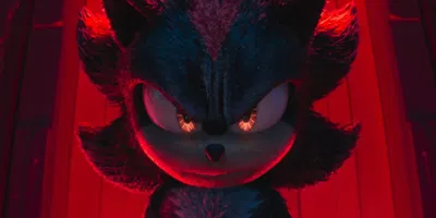 ꧁𝐒𝐡𝐚𝐝𝐨𝐰 𝐓𝐡𝐞 𝐇𝐞𝐝𝐠𝐞𝐡𝐨𝐠꧂