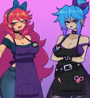 Stylist terraria 