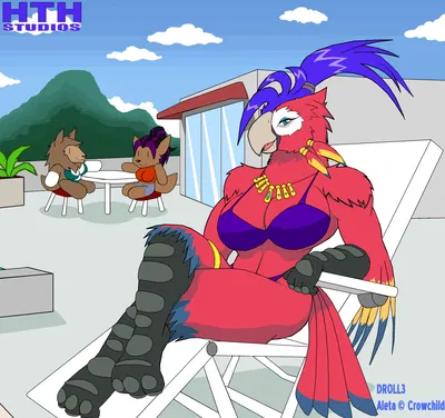 Aleta Macaw
