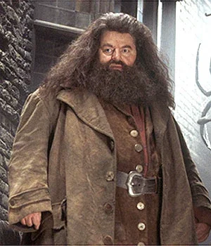 Rubeus Hagrid 
