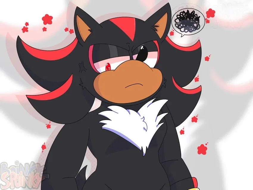 Shadow The Hedgehog