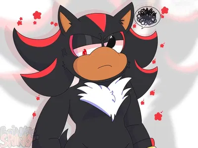 Shadow The Hedgehog