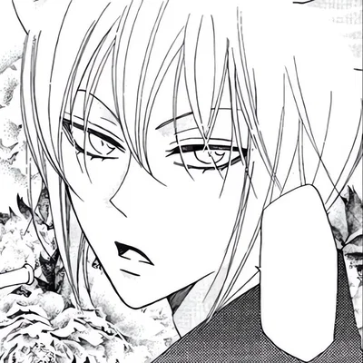 Tomoe || Kamisama Kiss