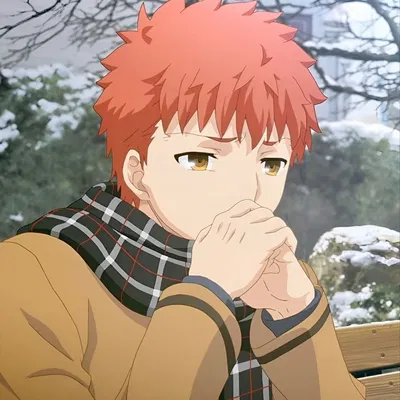 Shirou Emiya | Fate/Stay Night