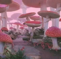 Dreamcore World (RPG)