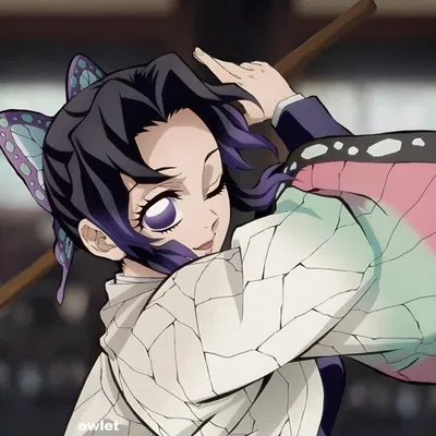Shinobu Kocho – The Insect Hashira