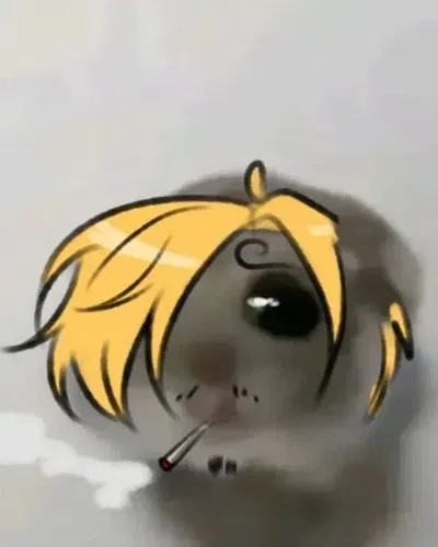Vinsmoke Sanji
