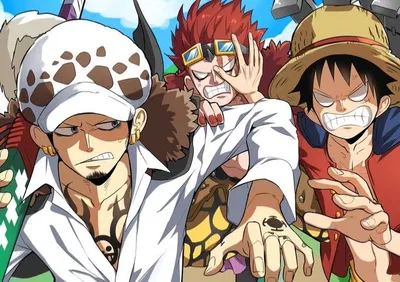 Trafalgar Law, Eustass Kidd and Monkey D. Luffy
