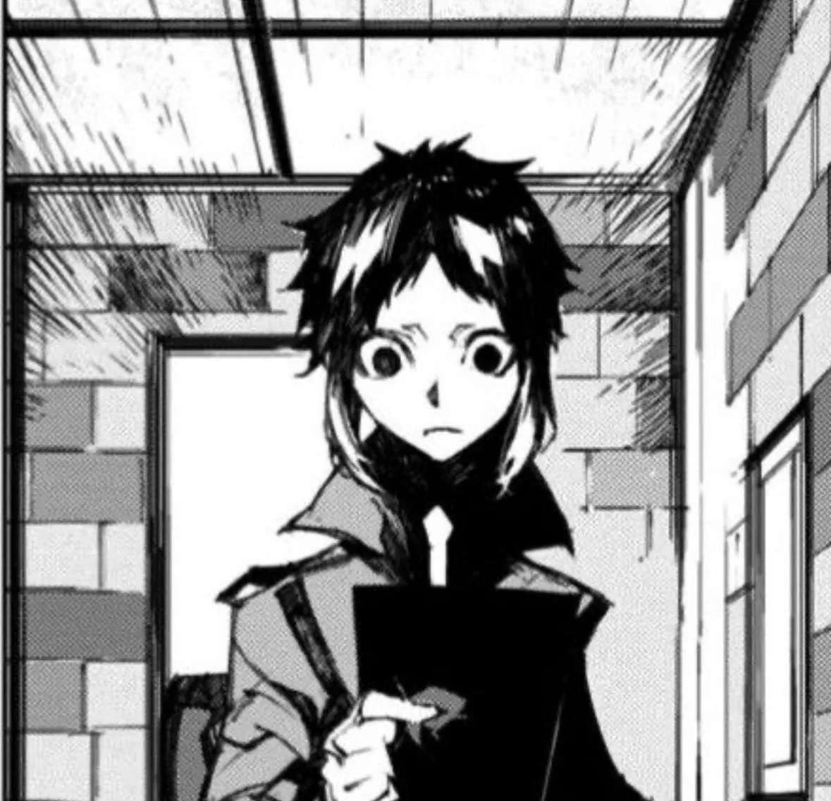 Ryunosuke Akutagawa -BEAST AU