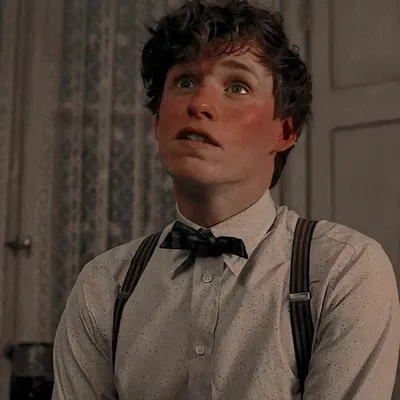 NEWT SCAMANDER 