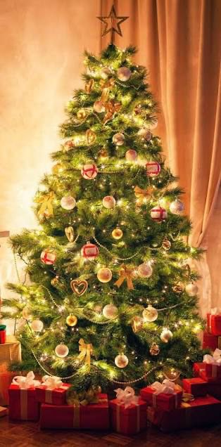 Merry Christmas!
