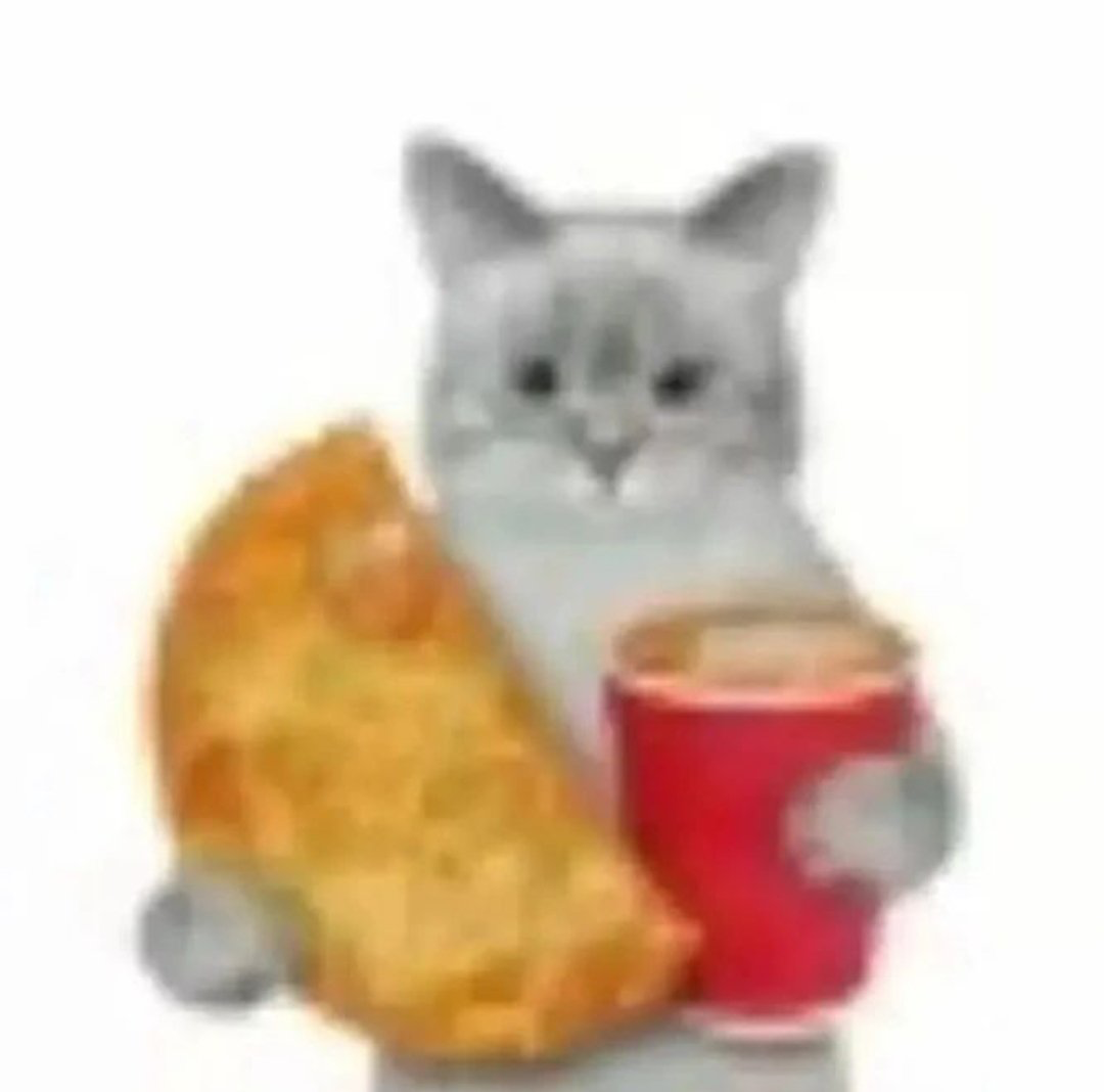 Holy cow howd i get 70 followers 