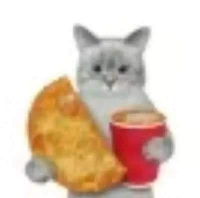 Holy cow howd i get 70 followers 