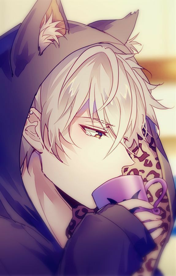Max the Catboy