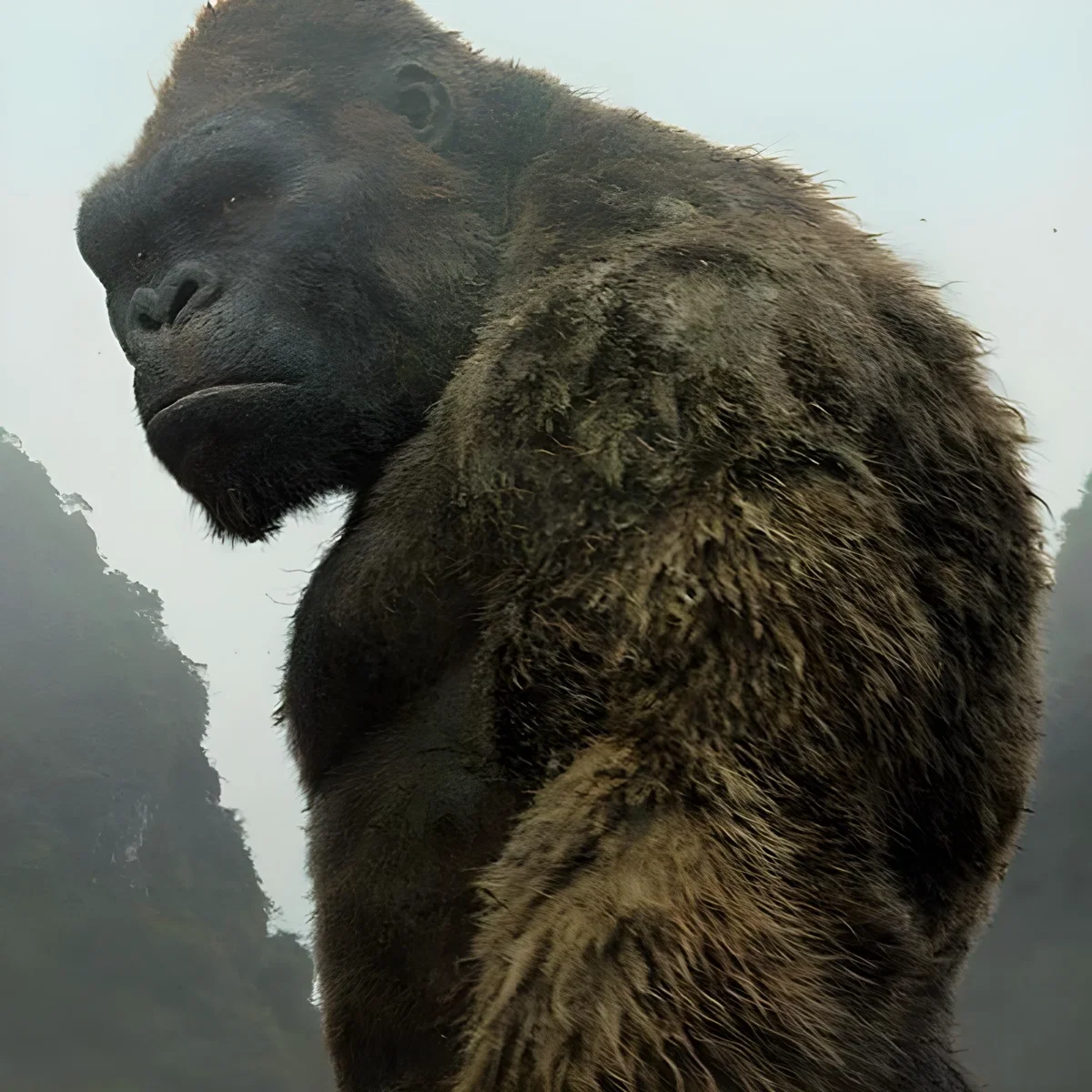 King Kong
