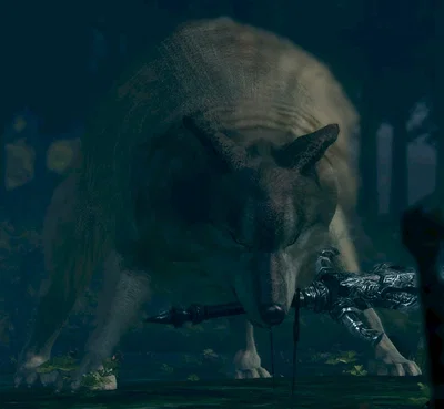 Great Gray Wolf Sif — DS3
