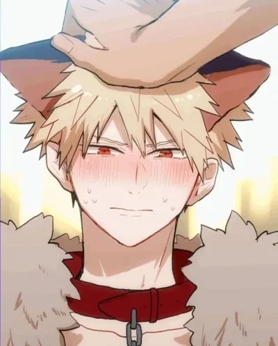 Mr. Wolf | Katsuki Bakugou 