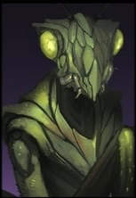 Mantis