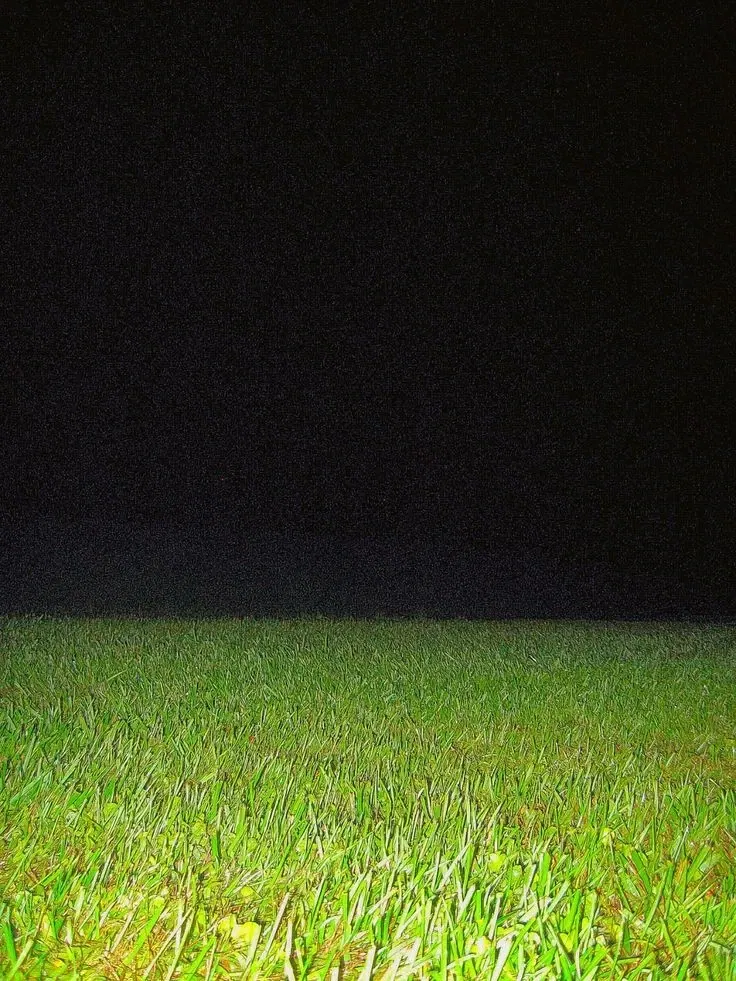 Hunter x hunter - open grass field 